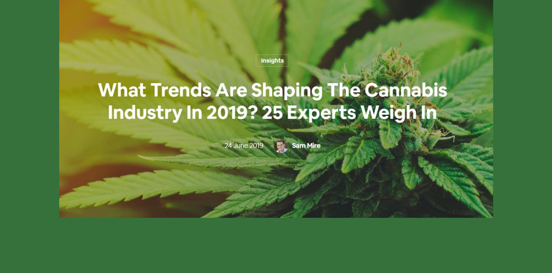 Qué tendencias marcan la industria del cannabis en 2019? 25 expertos opinan al respecto