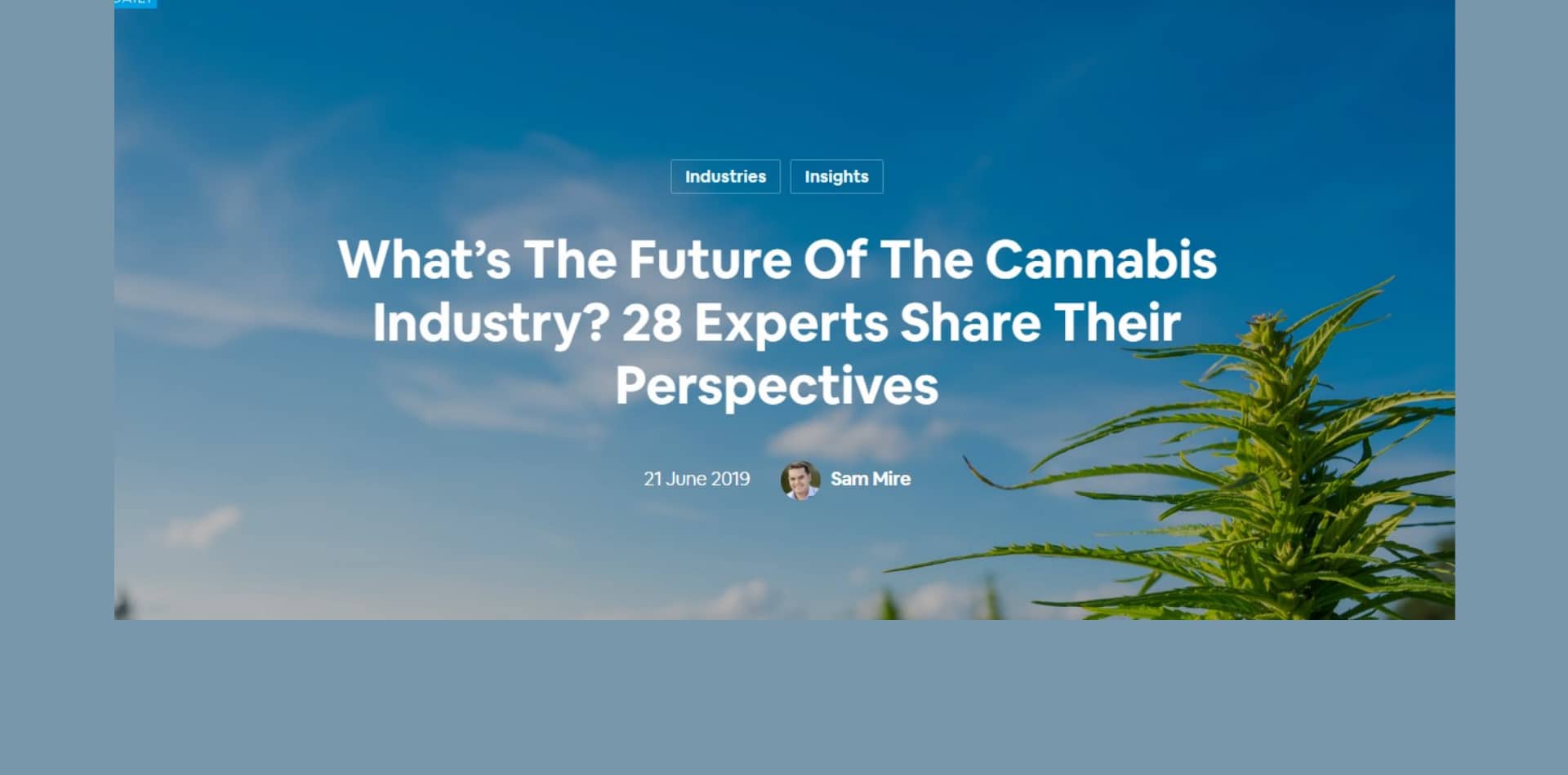 ¿Cuál es el futuro de la industria del cannabis? 28 expertos comparten sus puntos de vista