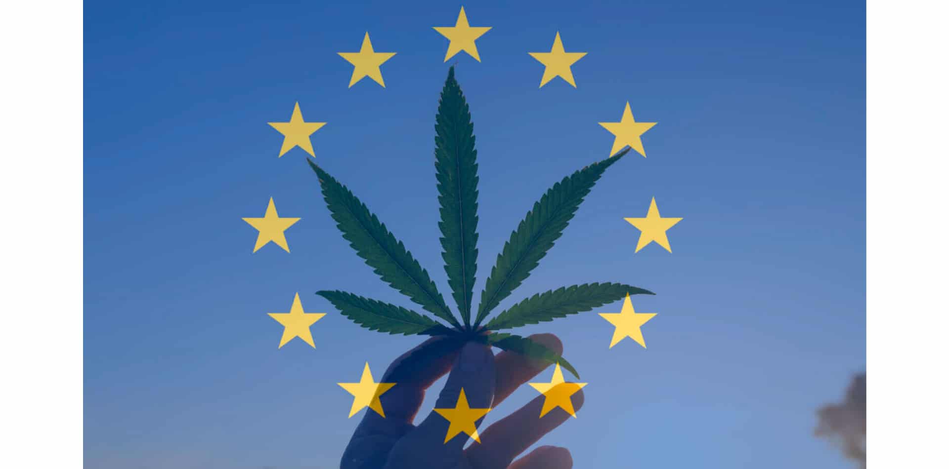 La legalización de la marihuana en Alemania provocará un gran incendio en Europa, según el director general de Cannabis