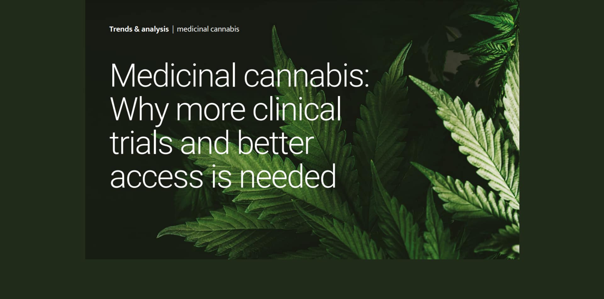 Cannabis medicinal: Por qué se necesitan más ensayos clínicos y un mejor acceso