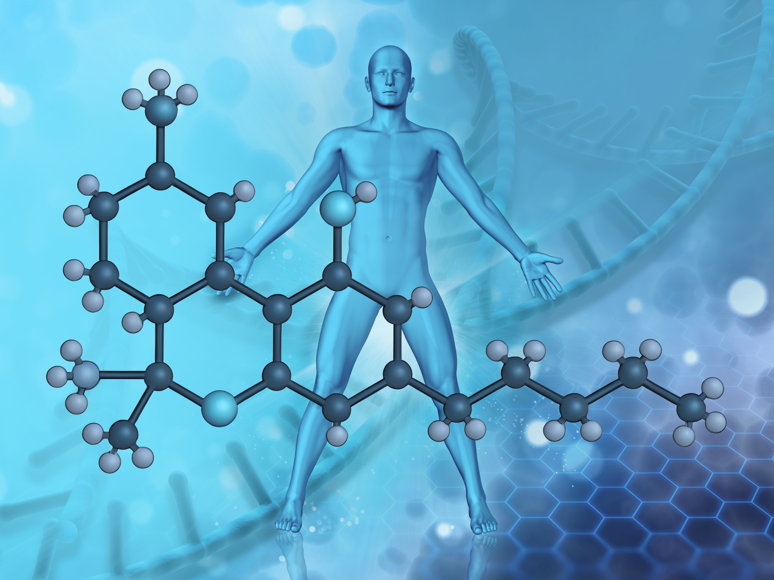 Desmitificar el THC: cómo actúa el tetrahidrocannabinol en el organismo