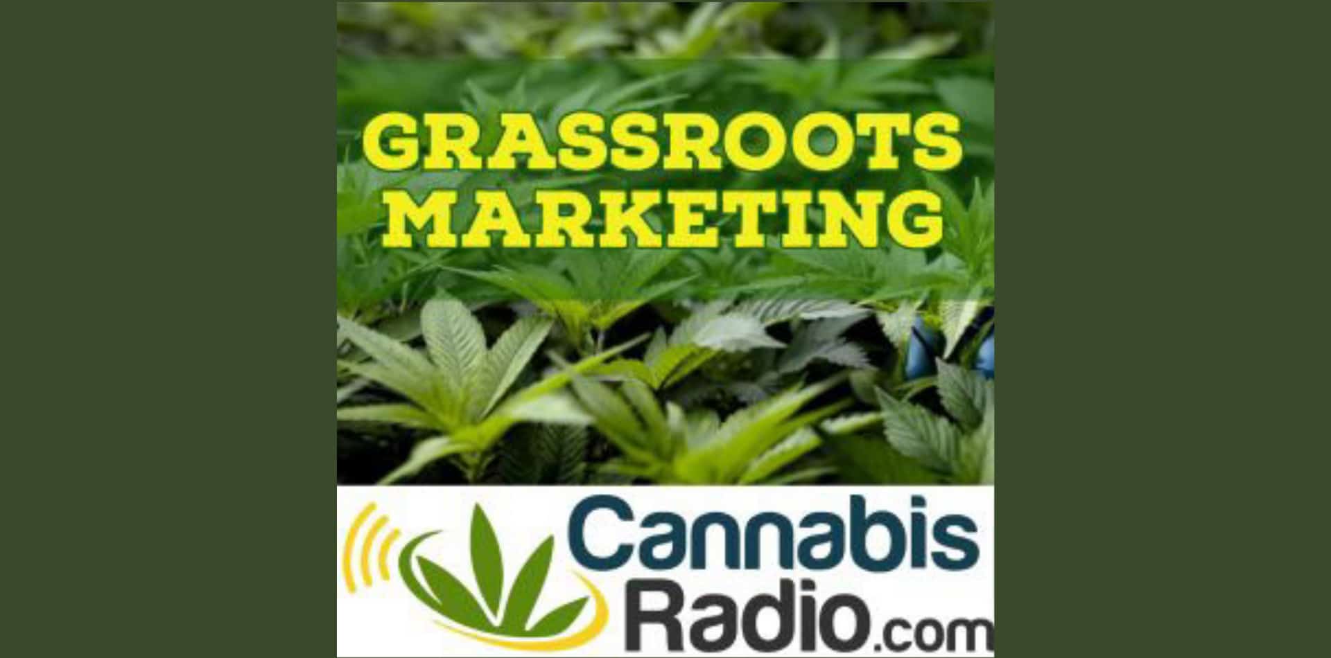 Podcast de Glassroots Marketing: El cannabis farmacéutico y la influencia de las grandes farmacéuticas